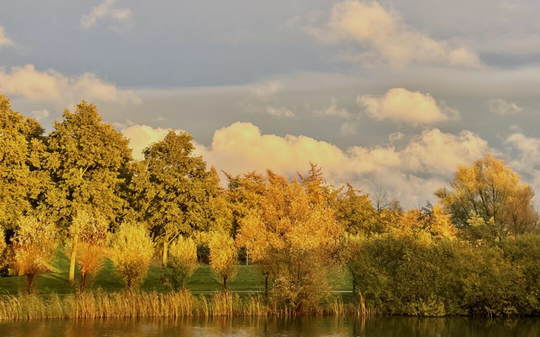 Onderweg naar het zuiden!